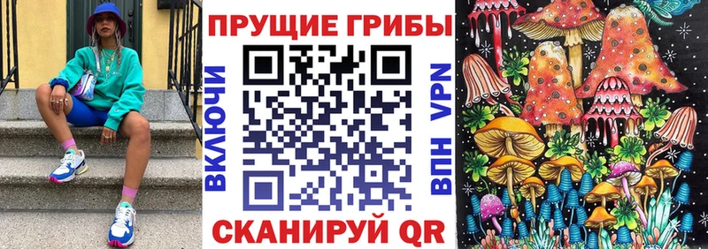наркотики  Иланский  kraken зеркало  Галлюциногенные грибы Magic Shrooms 